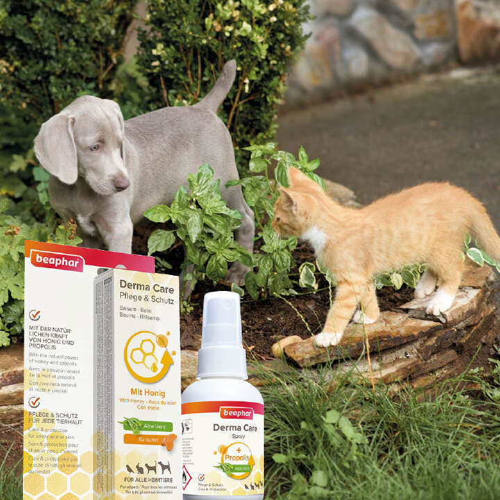 beaphar Derma Care Balsam